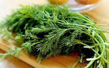 【茴香】茴香的營(yíng)養(yǎng)價(jià)值_茴香怎么做好吃_茴香的做法大全_孕婦能吃茴香嗎 【茴香】茴香的營(yíng)養(yǎng)價(jià)值_茴香怎么做好吃_茴香的做法大全_孕婦能吃茴香嗎