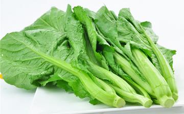 【芥菜】芥菜的功效與作用營(yíng)養(yǎng)價(jià)值_芥菜怎么做好吃_芥菜的做法大全 【芥菜】芥菜的功效與作用營(yíng)養(yǎng)價(jià)值_芥菜怎么做好吃_芥菜的做法大全
