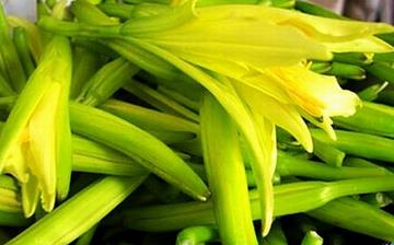 【黃花菜】黃花菜的營養(yǎng)價(jià)值_黃花菜怎么做好吃_黃花菜的做法大全