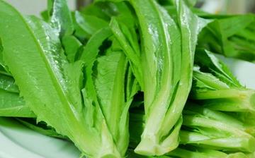 【油麥菜】油麥菜的營(yíng)養(yǎng)價(jià)值_油麥菜怎么做好吃_油麥菜的做法大全 【油麥菜】油麥菜的營(yíng)養(yǎng)價(jià)值_油麥菜怎么做好吃_油麥菜的做法大全