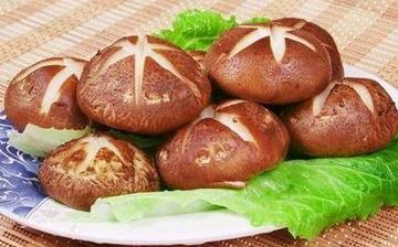 【香菇】香菇的營養(yǎng)價(jià)值_香菇怎么做好吃_香菇的做法大全_孕婦能吃香菇嗎