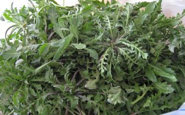 【薺菜】薺菜的功效與作用營(yíng)養(yǎng)價(jià)值_薺菜怎么做好吃_薺菜的做法大全 【薺菜】薺菜的功效與作用營(yíng)養(yǎng)價(jià)值_薺菜怎么做好吃_薺菜的做法大全