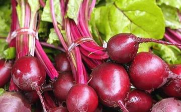 【甜菜】甜菜的功效與作用營養(yǎng)價(jià)值_甜菜怎么做好吃_甜菜的做法大全 【甜菜】甜菜的功效與作用營養(yǎng)價(jià)值_甜菜怎么做好吃_甜菜的做法大全