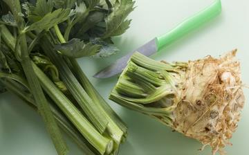 【根芹】根芹的功效與作用營養(yǎng)價值_根芹怎么做好吃_根芹的做法大全 【根芹】根芹的功效與作用營養(yǎng)價值_根芹怎么做好吃_根芹的做法大全
