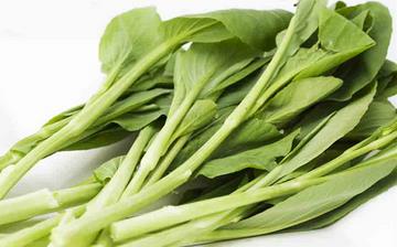 【菜苔】菜苔的功效與作用營養(yǎng)價值_菜苔怎么做好吃_菜苔的做法大全 【菜苔】菜苔的功效與作用營養(yǎng)價值_菜苔怎么做好吃_菜苔的做法大全