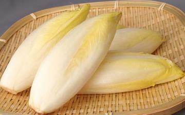 【菊苣】菊苣的營(yíng)養(yǎng)價(jià)值_菊苣怎么做好吃_菊苣的做法大全