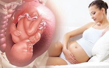 【胎位不正】孕婦胎位不正怎么辦_胎位不正能順產(chǎn)嗎_胎位不正臨床表現(xiàn) 【胎位不正】孕婦胎位不正怎么辦_胎位不正能順產(chǎn)嗎_胎位不正臨床表現(xiàn)