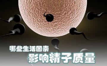 【精子質(zhì)量】精子質(zhì)量差有什么表現(xiàn)_提高精子質(zhì)量的方法 【精子質(zhì)量】精子質(zhì)量差有什么表現(xiàn)_提高精子質(zhì)量的方法