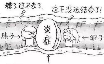 【不育】不育的原因_不育檢查什么項(xiàng)目_不孕不育能治嗎 【不育】不育的原因_不育檢查什么項(xiàng)目_不孕不育能治嗎