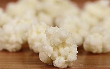 【雪蓮菌】雪蓮菌的營養(yǎng)價值_雪蓮菌的功效和作用_什么牌子的雪蓮菌好 【雪蓮菌】雪蓮菌的營養(yǎng)價值_雪蓮菌的功效和作用_什么牌子的雪蓮菌好