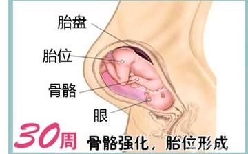 【懷孕30周】懷孕30周癥狀_懷孕30周胎兒變化_媽媽狀態(tài)_懷孕30周注意事項(xiàng) 【懷孕30周】懷孕30周癥狀_懷孕30周胎兒變化_媽媽狀態(tài)_懷孕30周注意事項(xiàng)