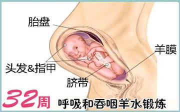【懷孕32周】懷孕32周發(fā)育指標(biāo)_懷孕32周胎兒變化_媽媽狀態(tài)_懷孕32周注意事項(xiàng) 【懷孕32周】懷孕32周發(fā)育指標(biāo)_懷孕32周胎兒變化_媽媽狀態(tài)_懷孕32周注意事項(xiàng)