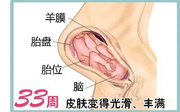 【懷孕33周】懷孕33周發(fā)育指標(biāo)_懷孕33周胎兒變化_媽媽狀態(tài)_懷孕33周注意事項 【懷孕33周】懷孕33周發(fā)育指標(biāo)_懷孕33周胎兒變化_媽媽狀態(tài)_懷孕33周注意事項