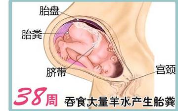【懷孕38周】懷孕38周發(fā)育指標檢查_懷孕38周胎兒變化_媽媽狀態(tài)_懷孕38周注意事項 【懷孕38周】懷孕38周發(fā)育指標檢查_懷孕38周胎兒變化_媽媽狀態(tài)_懷孕38周注意事項
