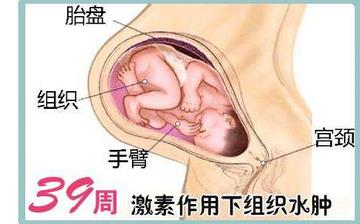【懷孕39周】懷孕39周發(fā)育指標(biāo)檢查_懷孕39周胎兒變化_媽媽狀態(tài)_懷孕39周注意事項(xiàng) 【懷孕39周】懷孕39周發(fā)育指標(biāo)檢查_懷孕39周胎兒變化_媽媽狀態(tài)_懷孕39周注意事項(xiàng)