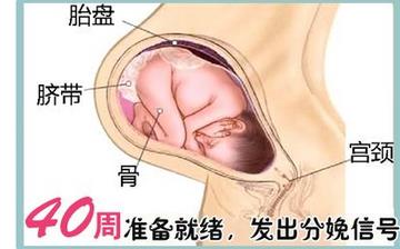 【懷孕40周】懷孕40周發(fā)育指標(biāo)檢查_懷孕40周胎兒變化_媽媽狀態(tài)_懷孕40周注意事項(xiàng) 【懷孕40周】懷孕40周發(fā)育指標(biāo)檢查_懷孕40周胎兒變化_媽媽狀態(tài)_懷孕40周注意事項(xiàng)