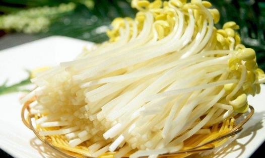 早春季節(jié)吃啥能養(yǎng)生？