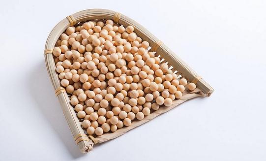 黃豆的營養(yǎng)價值竟然那么強大？