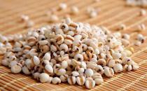 薏仁米有什么功效？薏仁米的食用方法