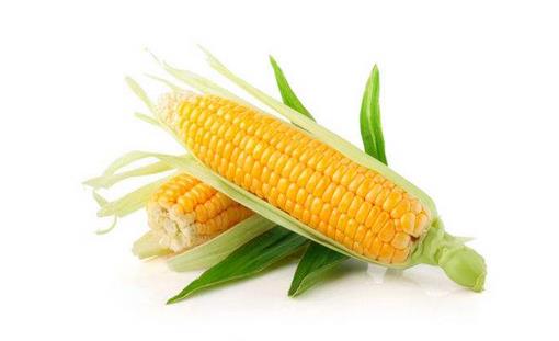 玉米有什么營養(yǎng)價值？玉米的美味做法
