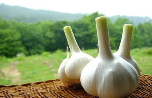 哪種顏色的蒜頭最有營(yíng)養(yǎng)？