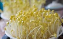 豆芽要如何正確保存？