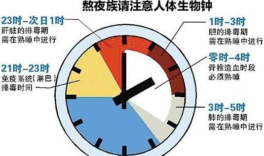 生物鐘的功能有哪些？生物鐘顛倒怎么辦