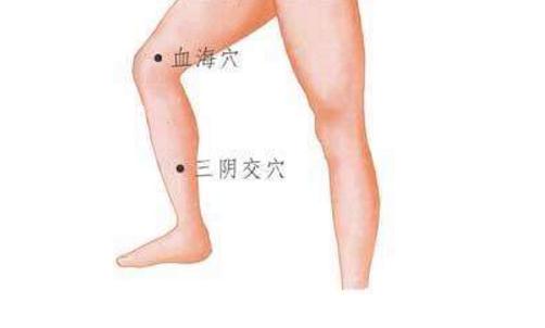 保養(yǎng)卵巢中醫(yī)療法 2大穴位助你養(yǎng)巢