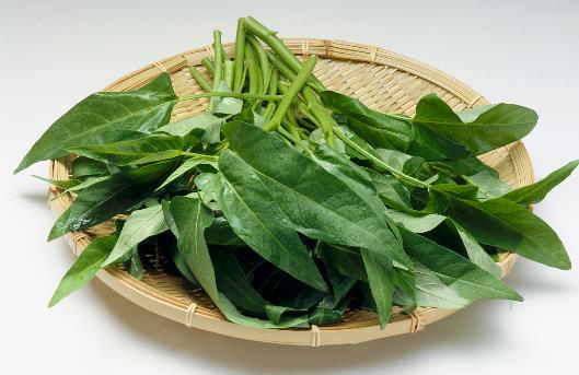 吃菠菜的功效竟然那么強大！