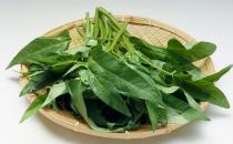 吃菠菜的功效竟然那么強(qiáng)大！