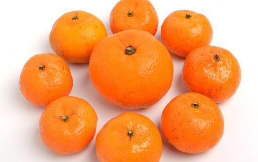柑橘家族里有5大營(yíng)養(yǎng)高手