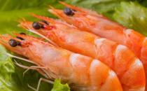 蝦肉藥用價(jià)值高 如何與食物搭配治療男性腎虛
