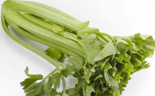 男性多吃芹菜可避孕 是有科學根據(jù)的