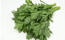 ?多吃10種蔬菜 讓寶寶聰穎過人