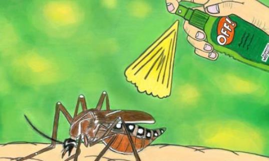 秋季蚊子毒？教你如何有效防蚊