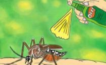 ?秋季蚊子毒？教你如何有效防蚊