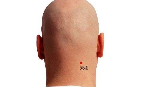 想成為猛男 多按摩助性養(yǎng)生穴
