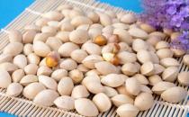 腎虛怎么辦，這幾種食物讓你壯陽(yáng)補(bǔ)腎