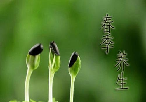 一年之計在于春，不得不知的春季養(yǎng)生常識
