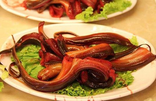 黃鱔什么季節(jié)吃最好 黃鱔魚(yú)的功效與作用 黃鱔清洗