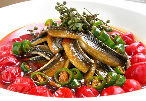 黃鱔什么季節(jié)吃最好 黃鱔魚(yú)的功效與作用 黃鱔清洗