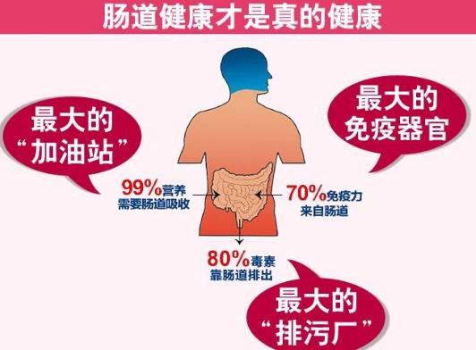 拿破侖的難言之隱便秘致其滑鐵盧慘敗 好習(xí)慣養(yǎng)成好腸道