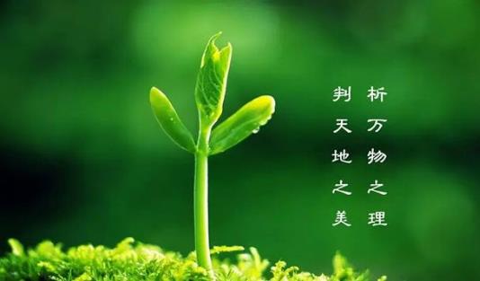 植樹節(jié)是幾月幾日？植樹節(jié)的由來和意義