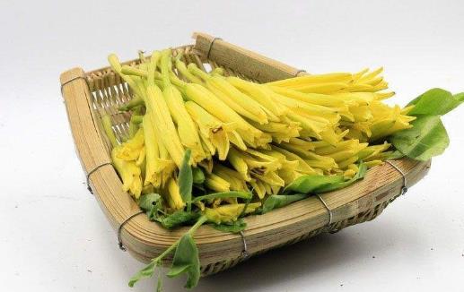 食以載道的黃花菜，安神除煩護膚美顏