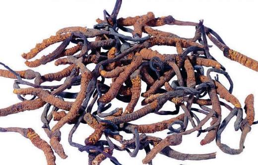 總是疲勞沒精神，濕熱體質(zhì)的你如何調(diào)理才能恢復(fù)健康