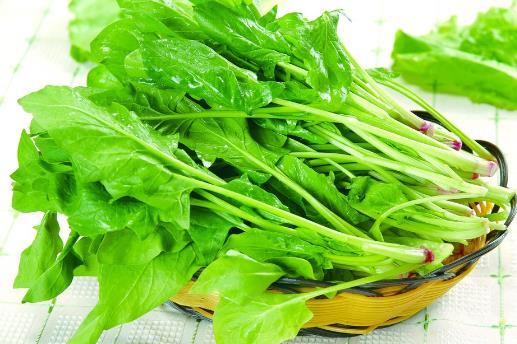 春季養(yǎng)生吃什么？這7種食物最適合春