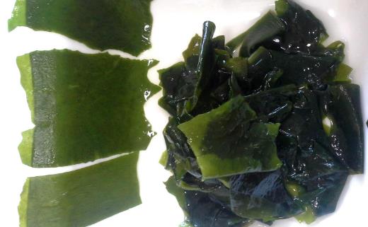 食物有助提高免疫力？9種食物不可錯(cuò)過！