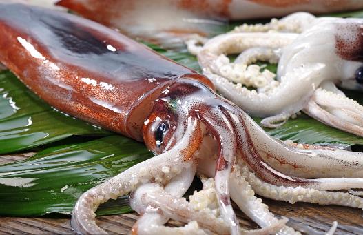 魷魚(yú)、花枝和軟絲傻傻分不清？教你一招來(lái)辨認(rèn)