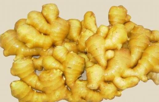 食物的種類繁多 細(xì)數(shù)常見食物的特殊功效