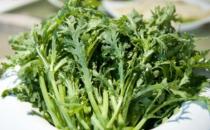 將炒青菜改為水煮青菜 烹調(diào)蔬菜也有小技巧